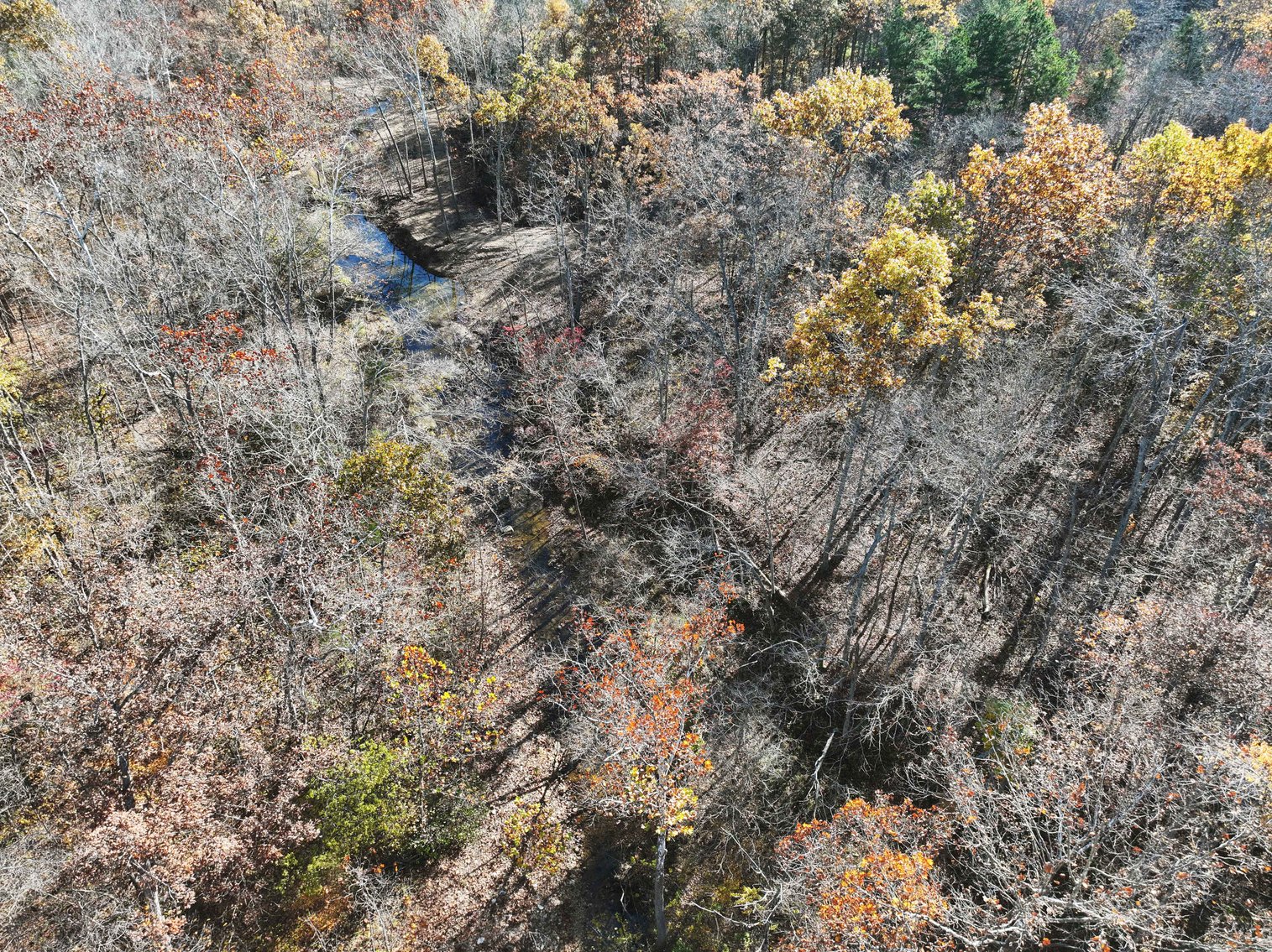 Image for 25.5 Acres +/-, Tract 1 Off BCR 930, Patton Missouri 63662, MLS #25075217