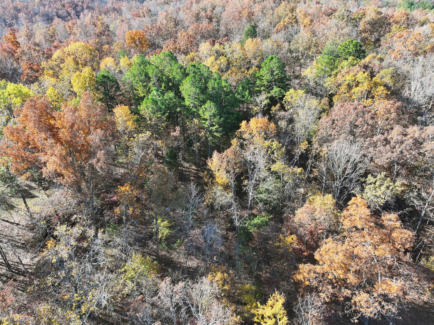 Image for 25.5 Acres +/-, Tract 1 Off BCR 930, Patton Missouri 63662, MLS #25075217