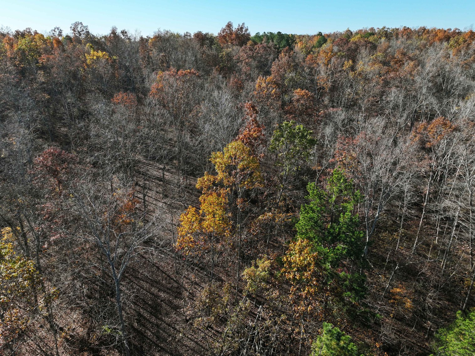 Image for 29.0 +/- Acres, Tract 2 Off BCR 930, Patton MO 63662, MLS # 25075221