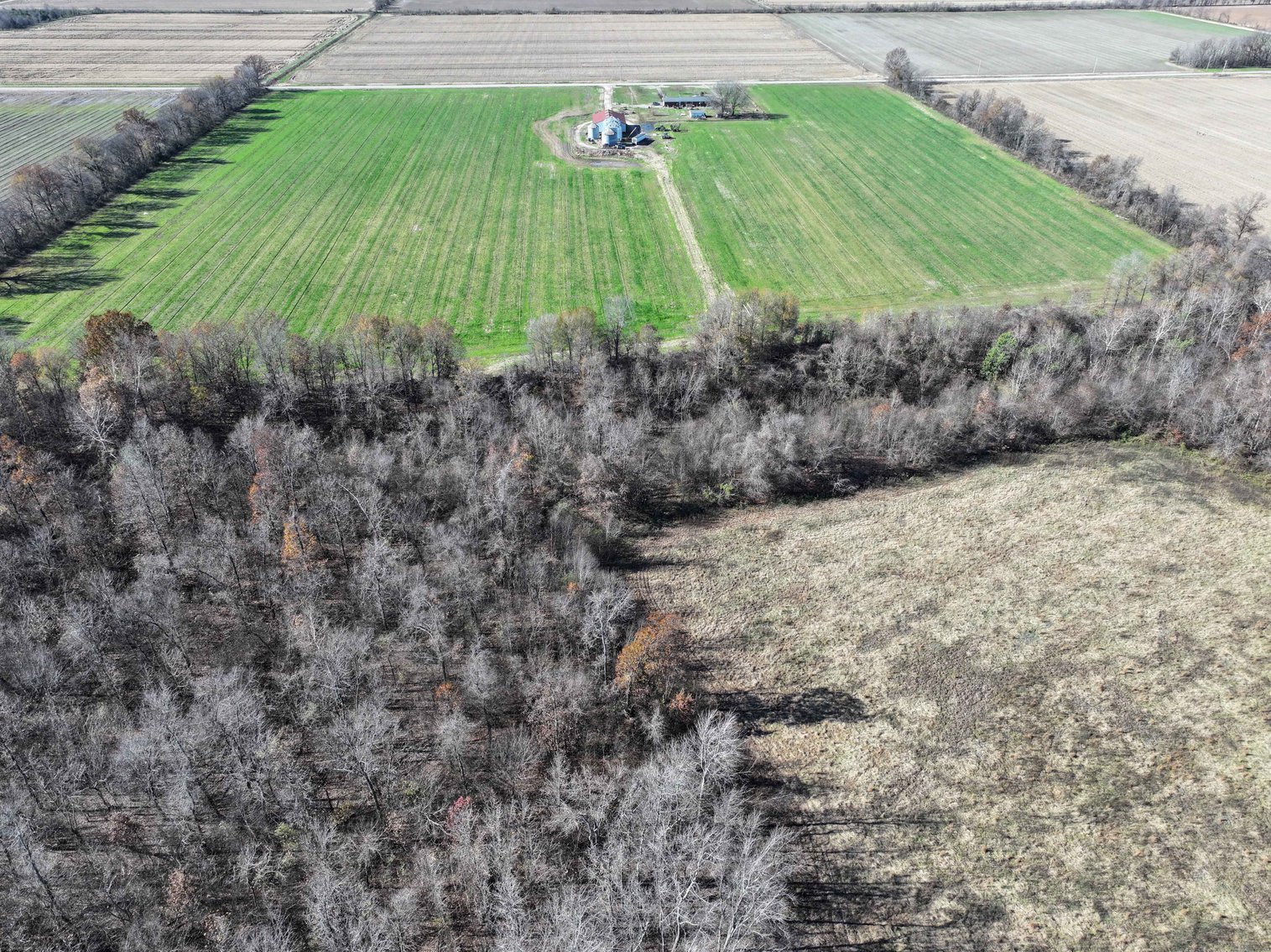 Image for 123.4 Acres +/- Off Hwy DD, Fisk MO 63940, MLS #25079160