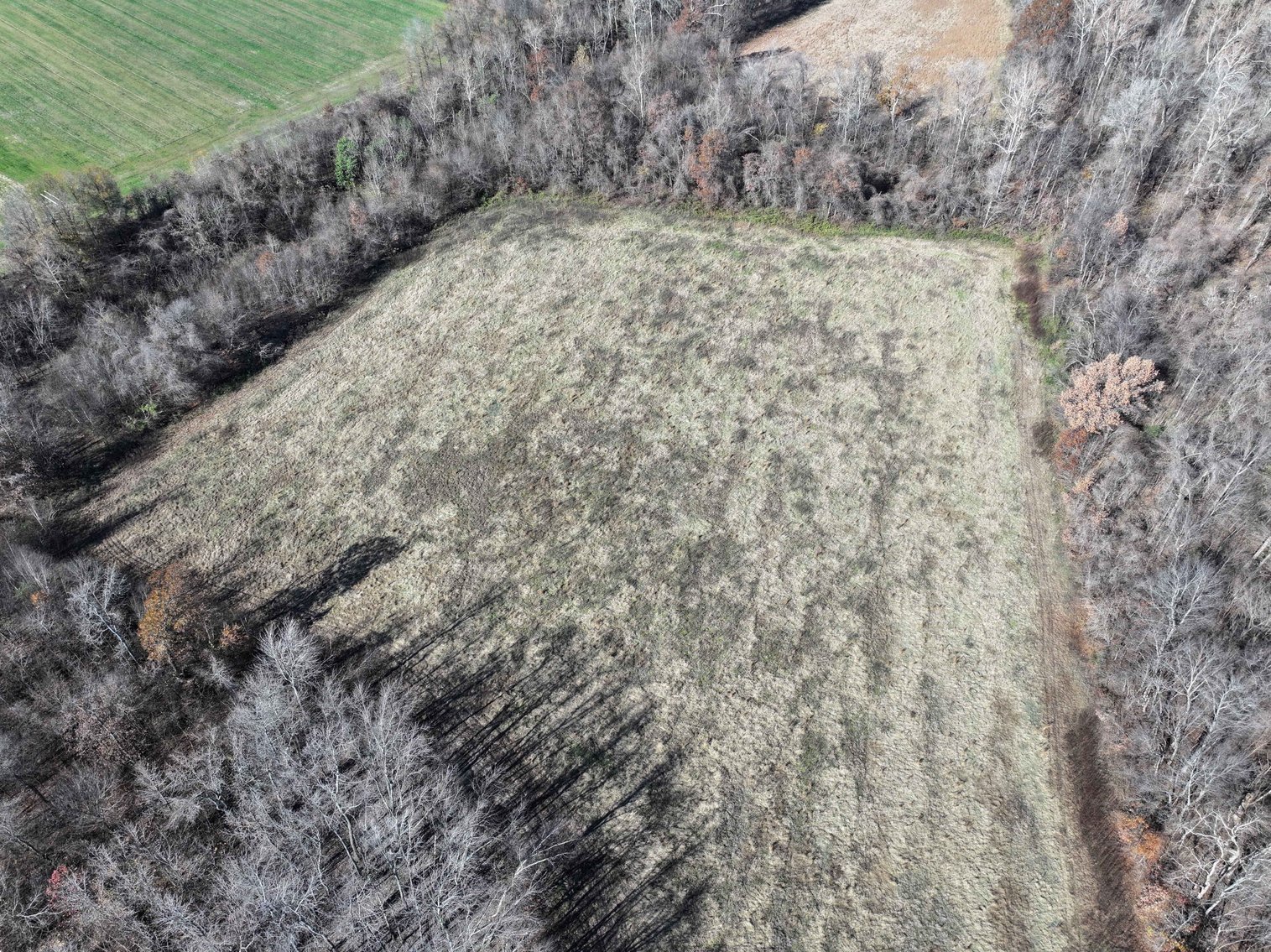 Image for 123.4 Acres +/- Off Hwy DD, Fisk MO 63940, MLS #25079160