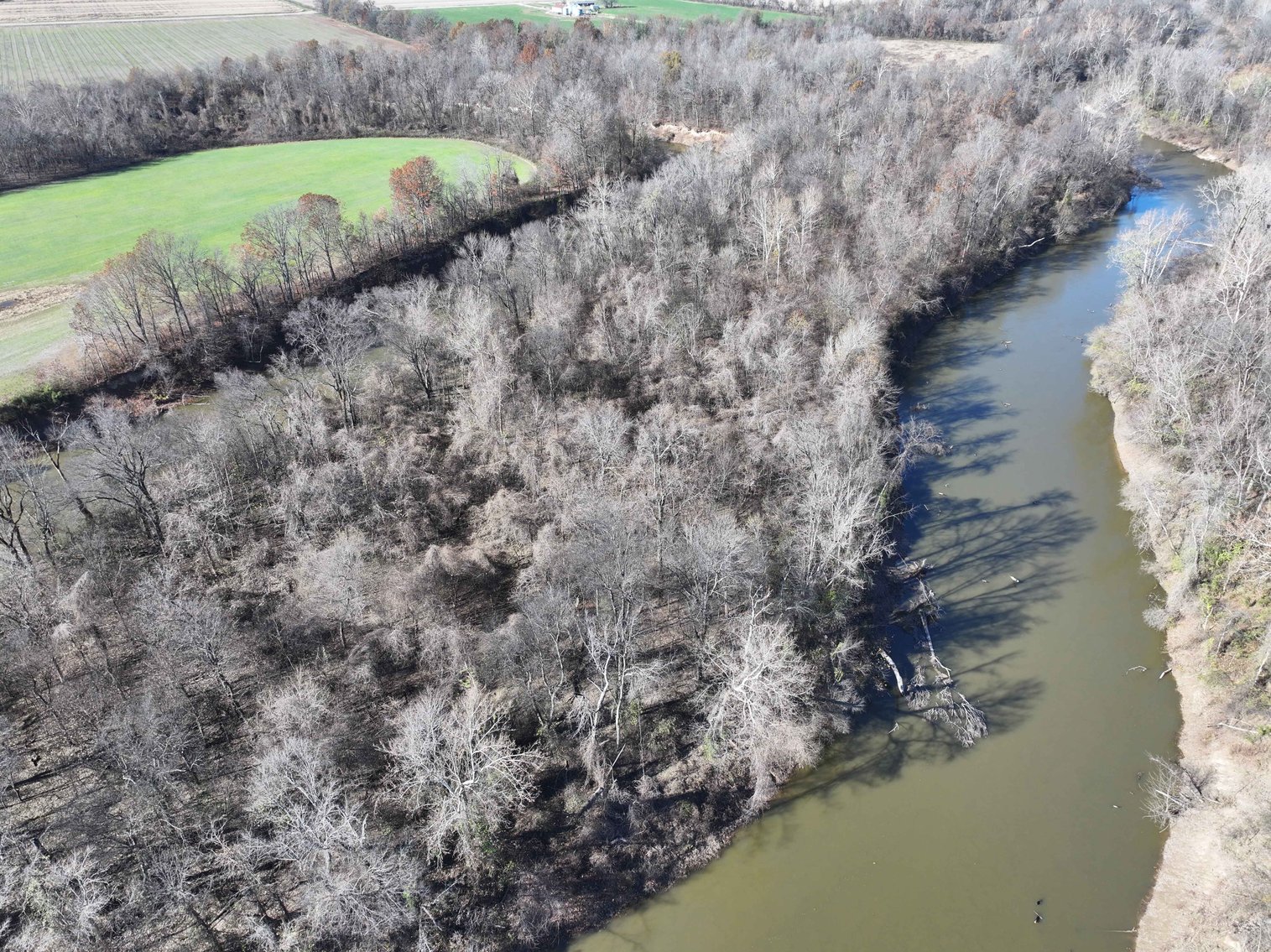 Image for 123.4 Acres +/- Off Hwy DD, Fisk MO 63940, MLS #25079160