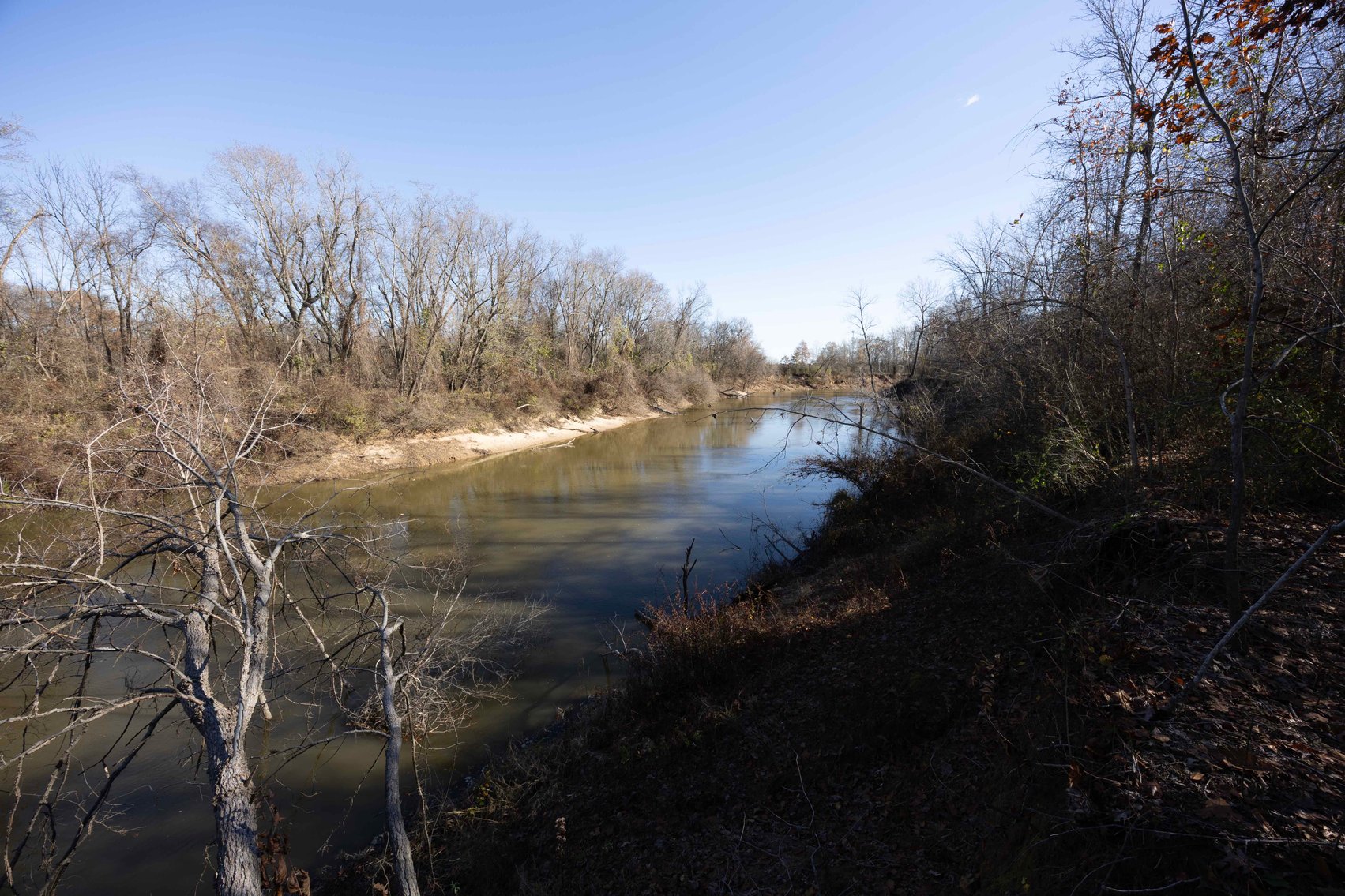 Image for 123.4 Acres +/- Off Hwy DD, Fisk MO 63940, MLS #25079160