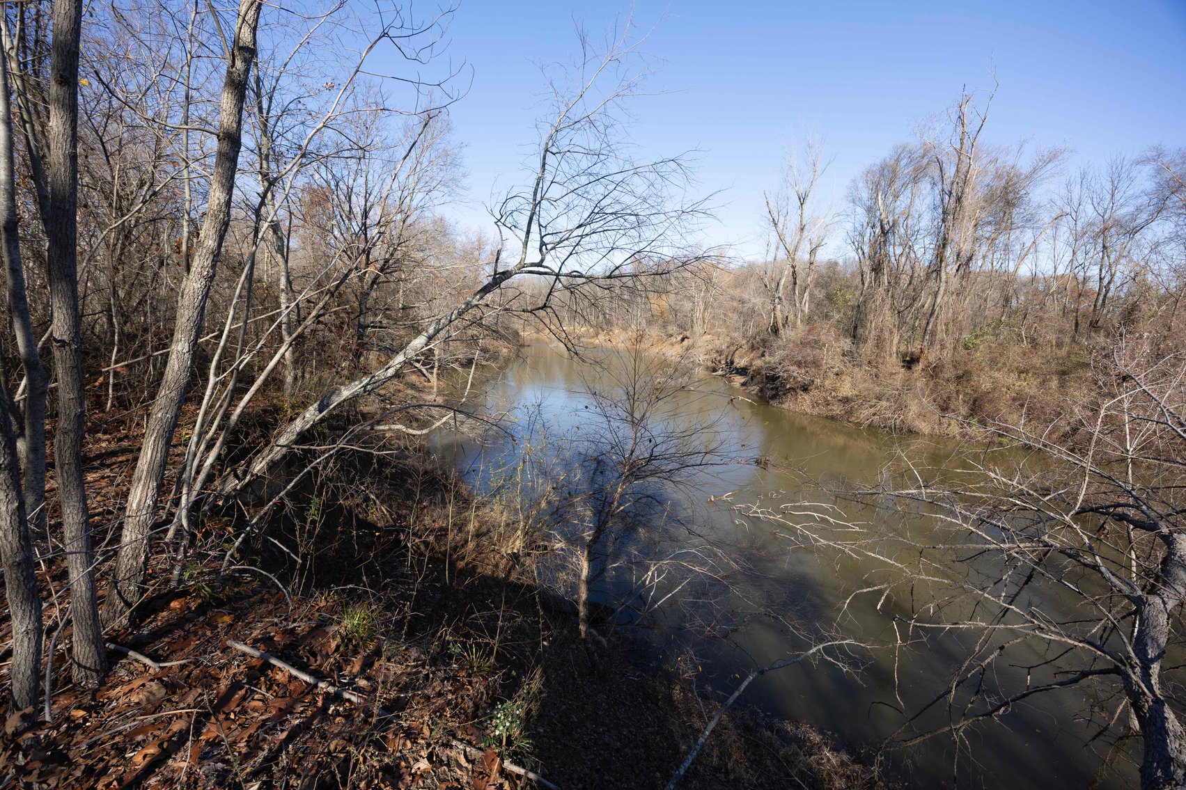 Image for 123.4 Acres +/- Off Hwy DD, Fisk MO 63940, MLS #25079160