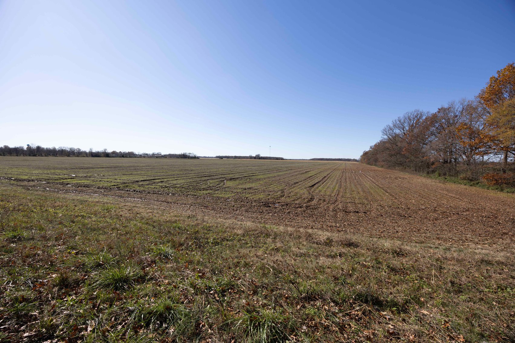 Image for 123.4 Acres +/- Off Hwy DD, Fisk MO 63940, MLS #25079160