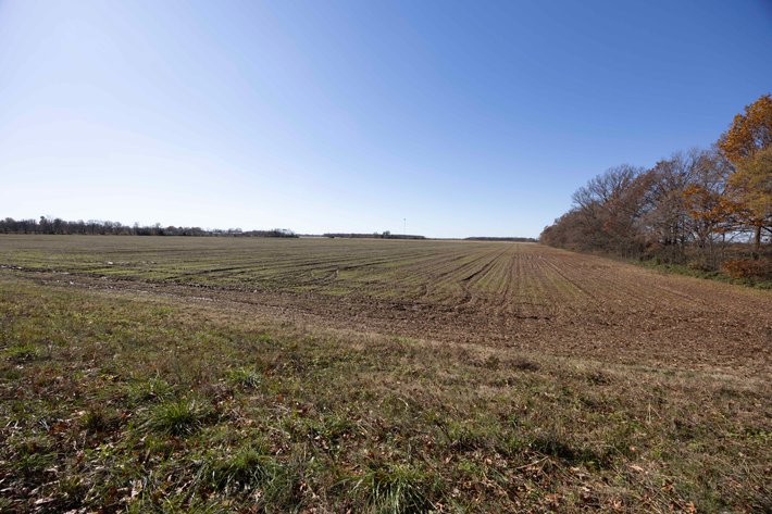 Image for 123.4 Acres +/- Off Hwy DD, Fisk MO 63940, MLS #25079160