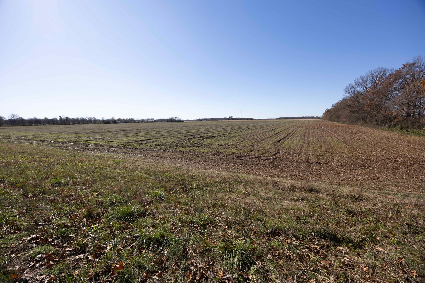 Image for 123.4 Acres +/- Off Hwy DD, Fisk MO 63940, MLS #25079160