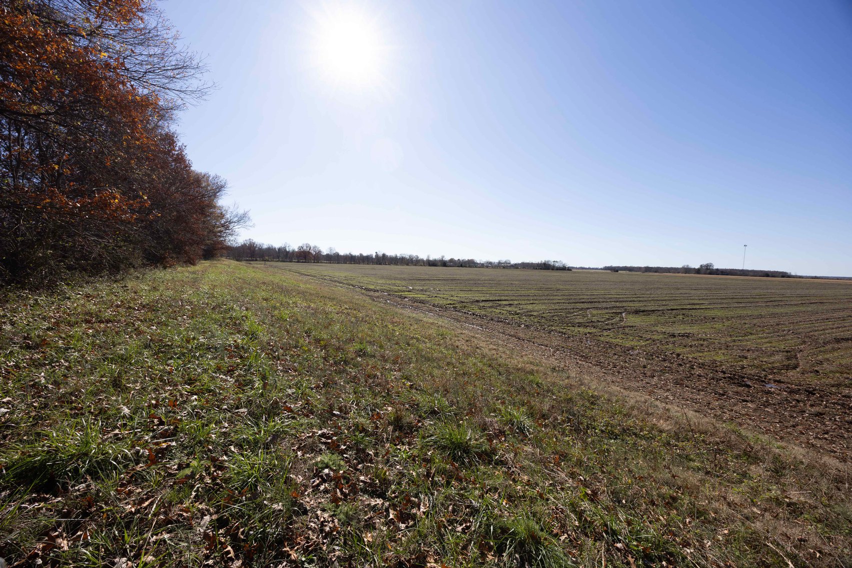 Image for 123.4 Acres +/- Off Hwy DD, Fisk MO 63940, MLS #25079160