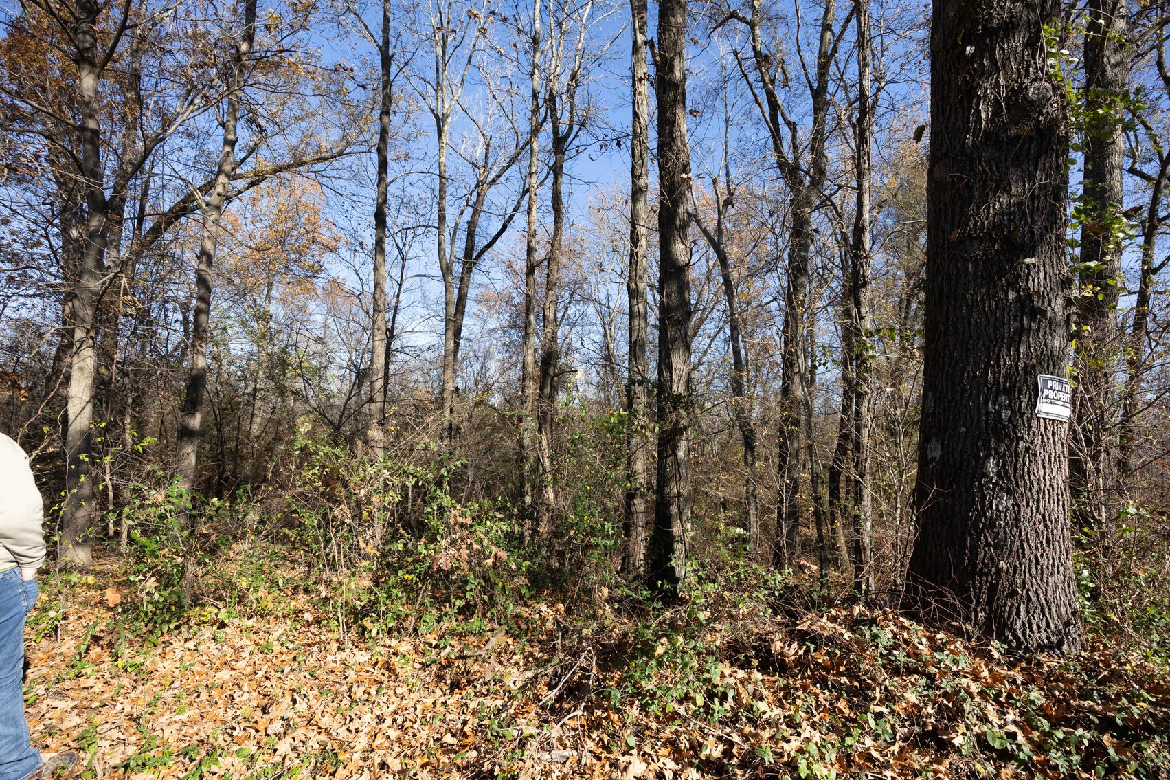 Image for 123.4 Acres +/- Off Hwy DD, Fisk MO 63940, MLS #25079160