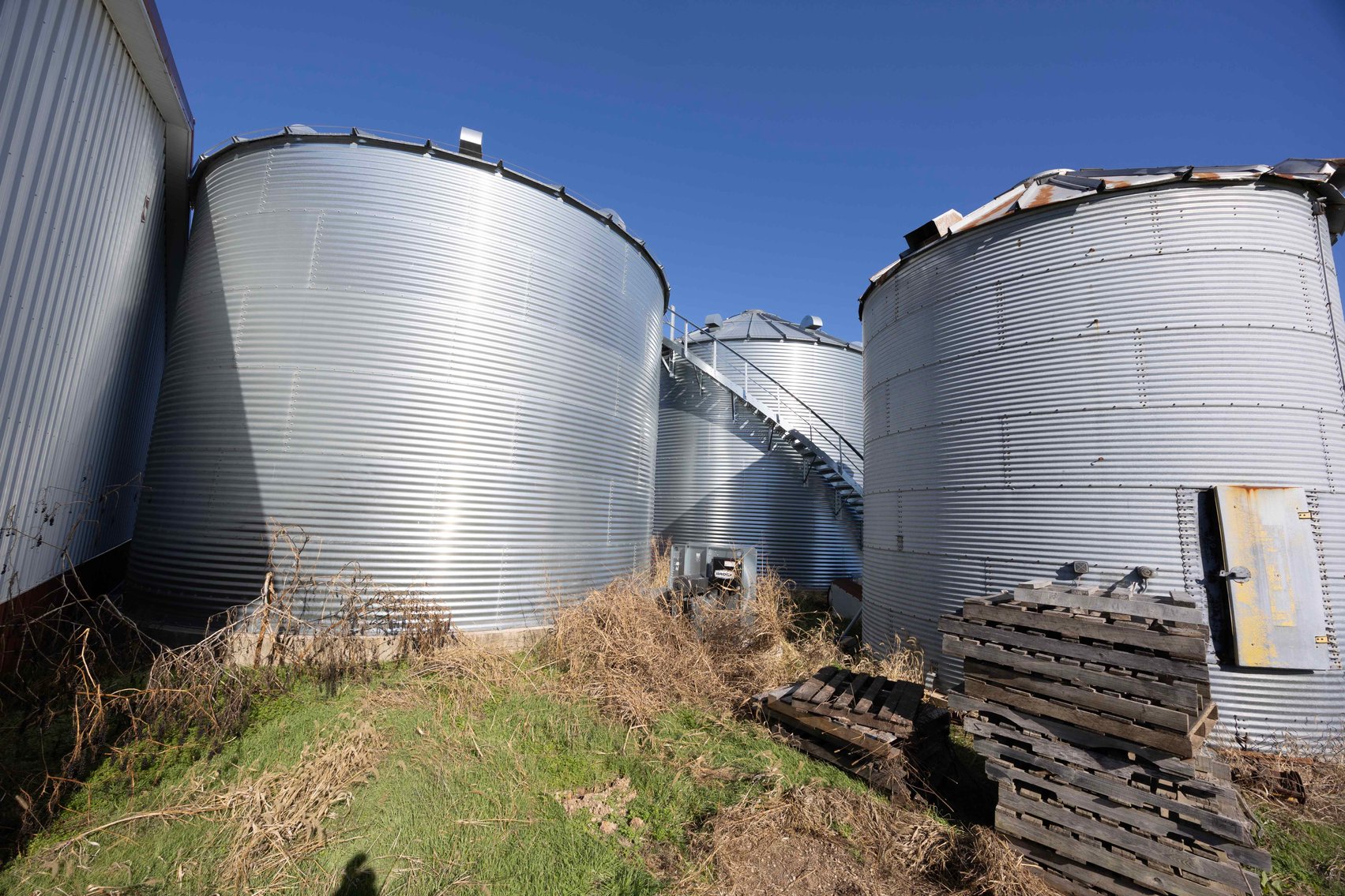 Image for 123.4 Acres +/- Off Hwy DD, Fisk MO 63940, MLS #25079160