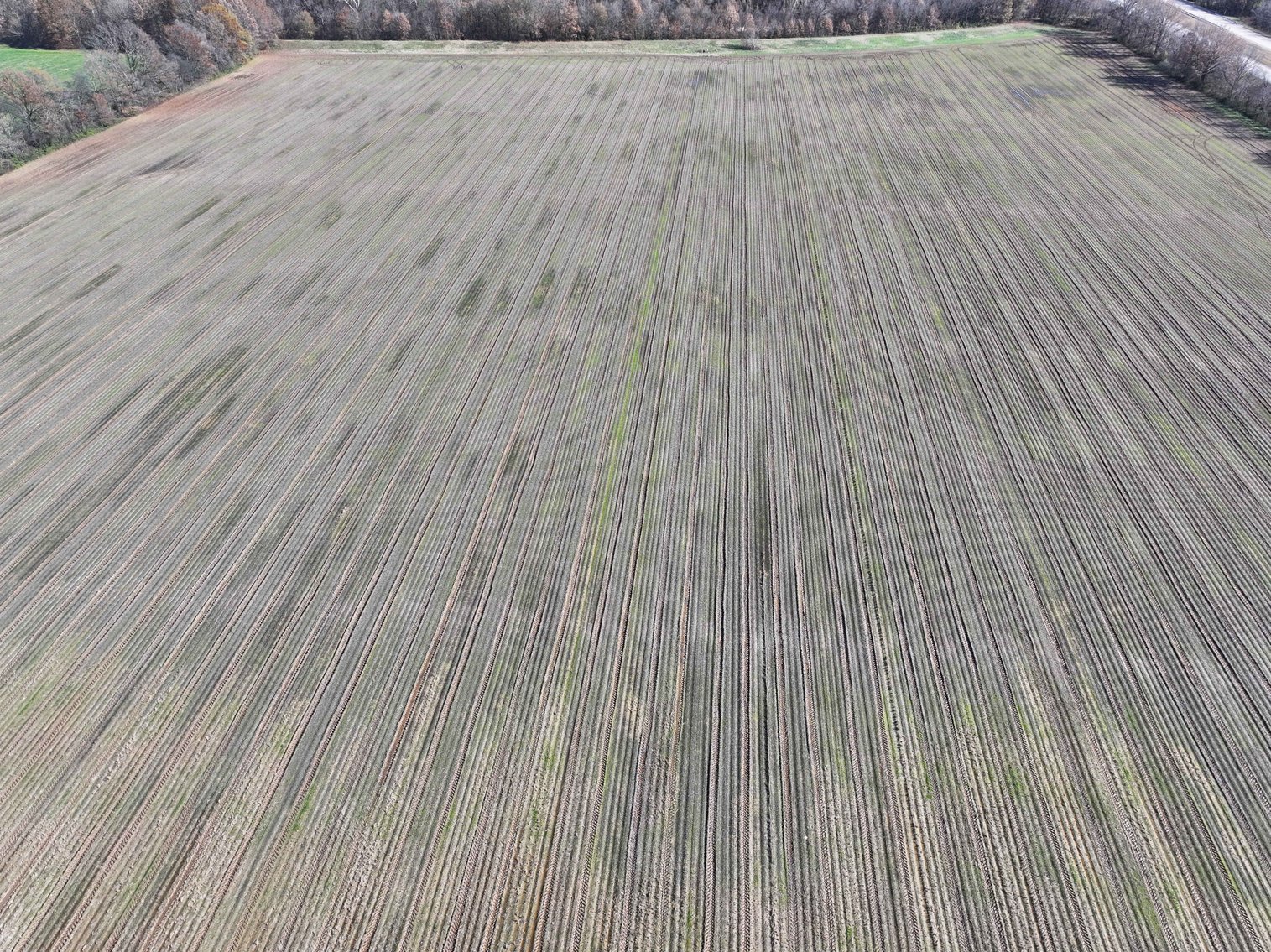 Image for 123.4 Acres +/- Off Hwy DD, Fisk MO 63940, MLS #25079160