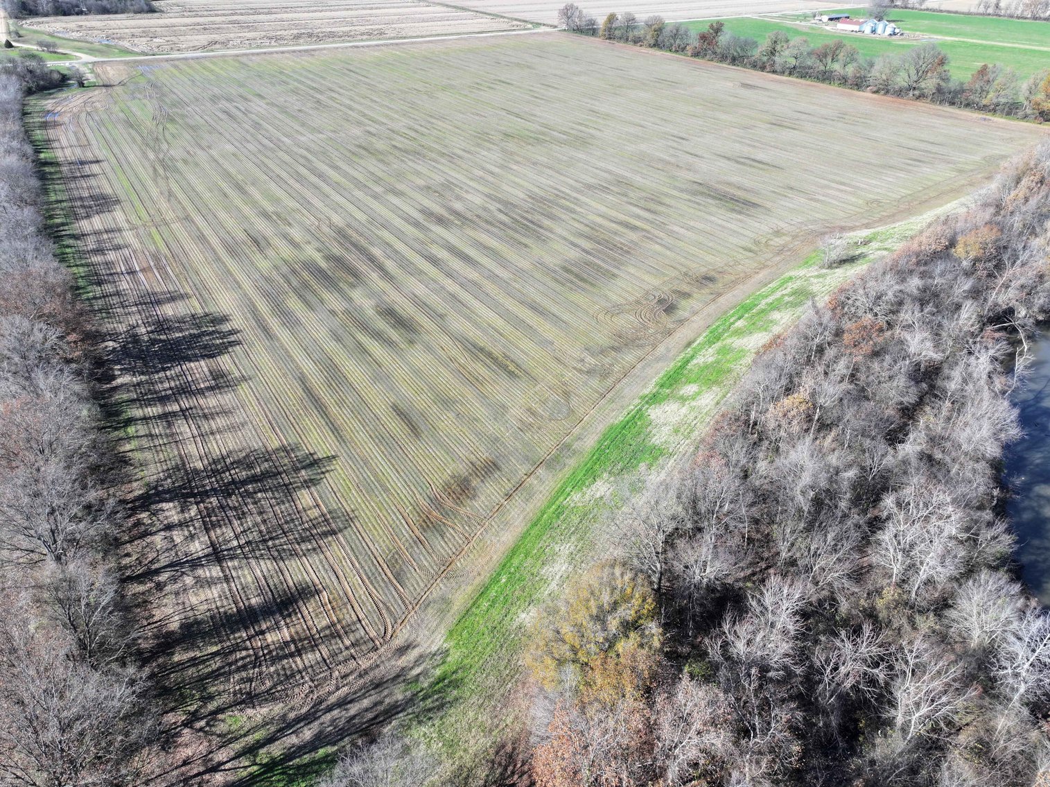 Image for 123.4 Acres +/- Off Hwy DD, Fisk MO 63940, MLS #25079160