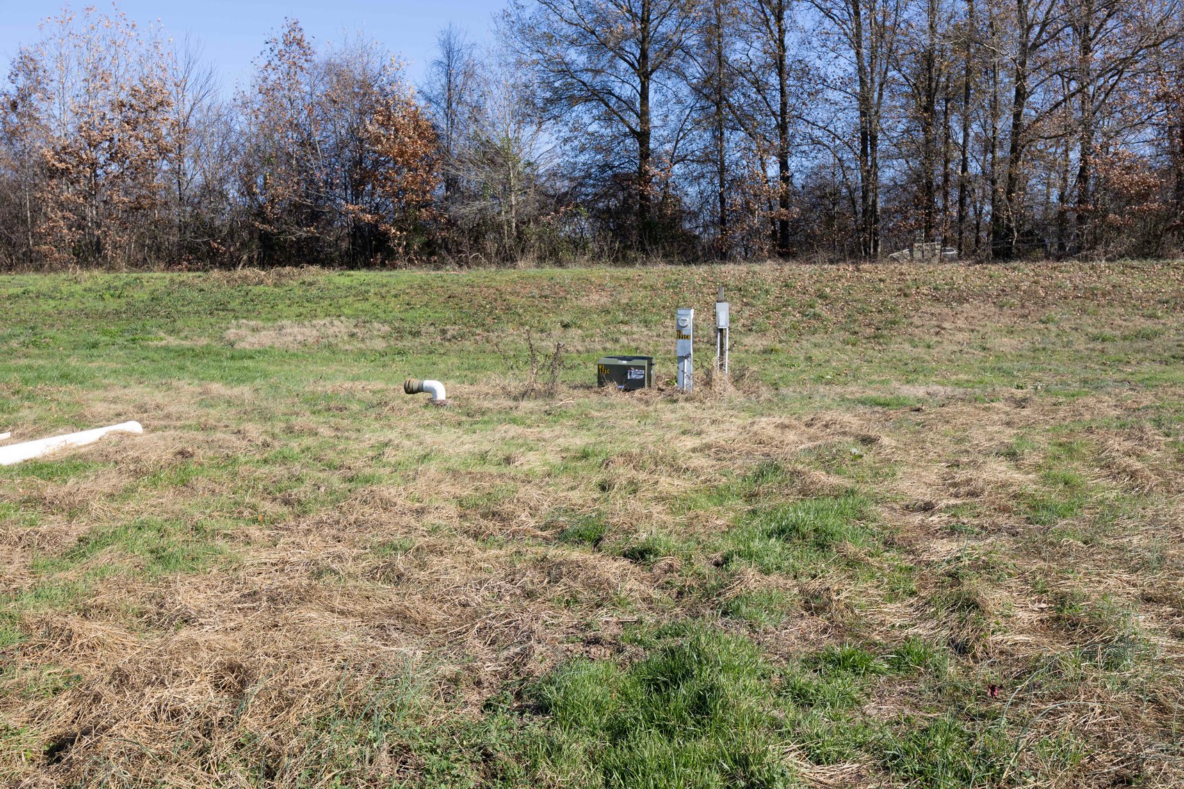 Image for 123.4 Acres +/- Off Hwy DD, Fisk MO 63940, MLS #25079160