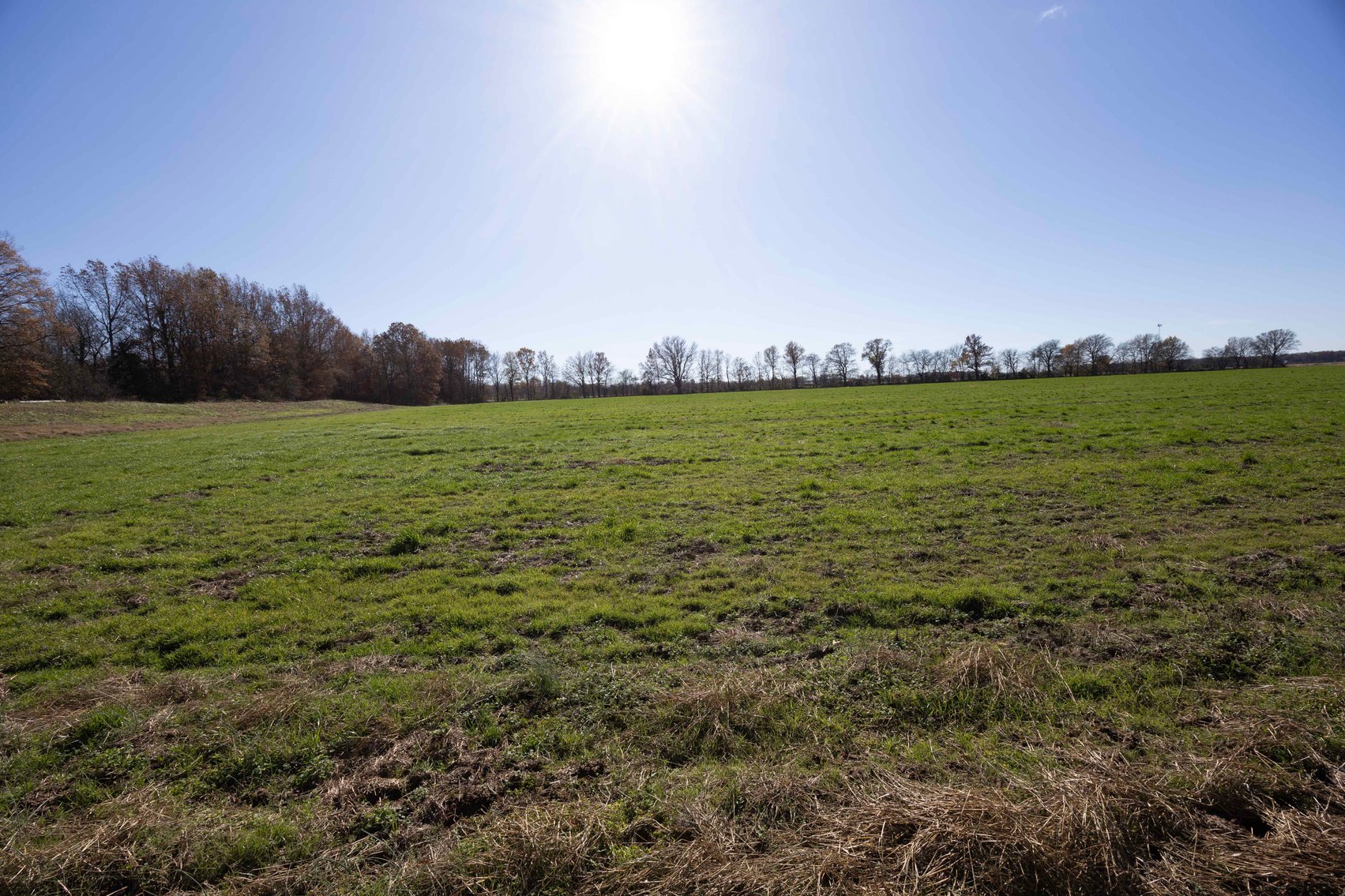 Image for 123.4 Acres +/- Off Hwy DD, Fisk MO 63940, MLS #25079160