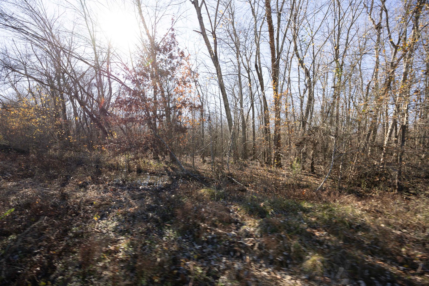 Image for 123.4 Acres +/- Off Hwy DD, Fisk MO 63940, MLS #25079160