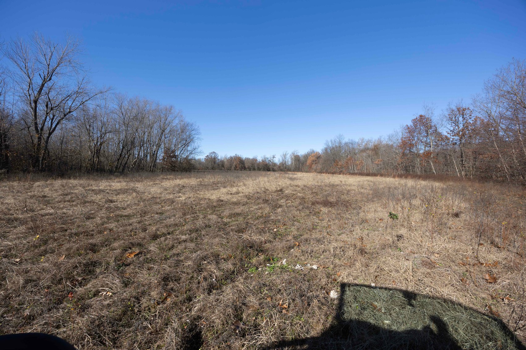 Image for 123.4 Acres +/- Off Hwy DD, Fisk MO 63940, MLS #25079160