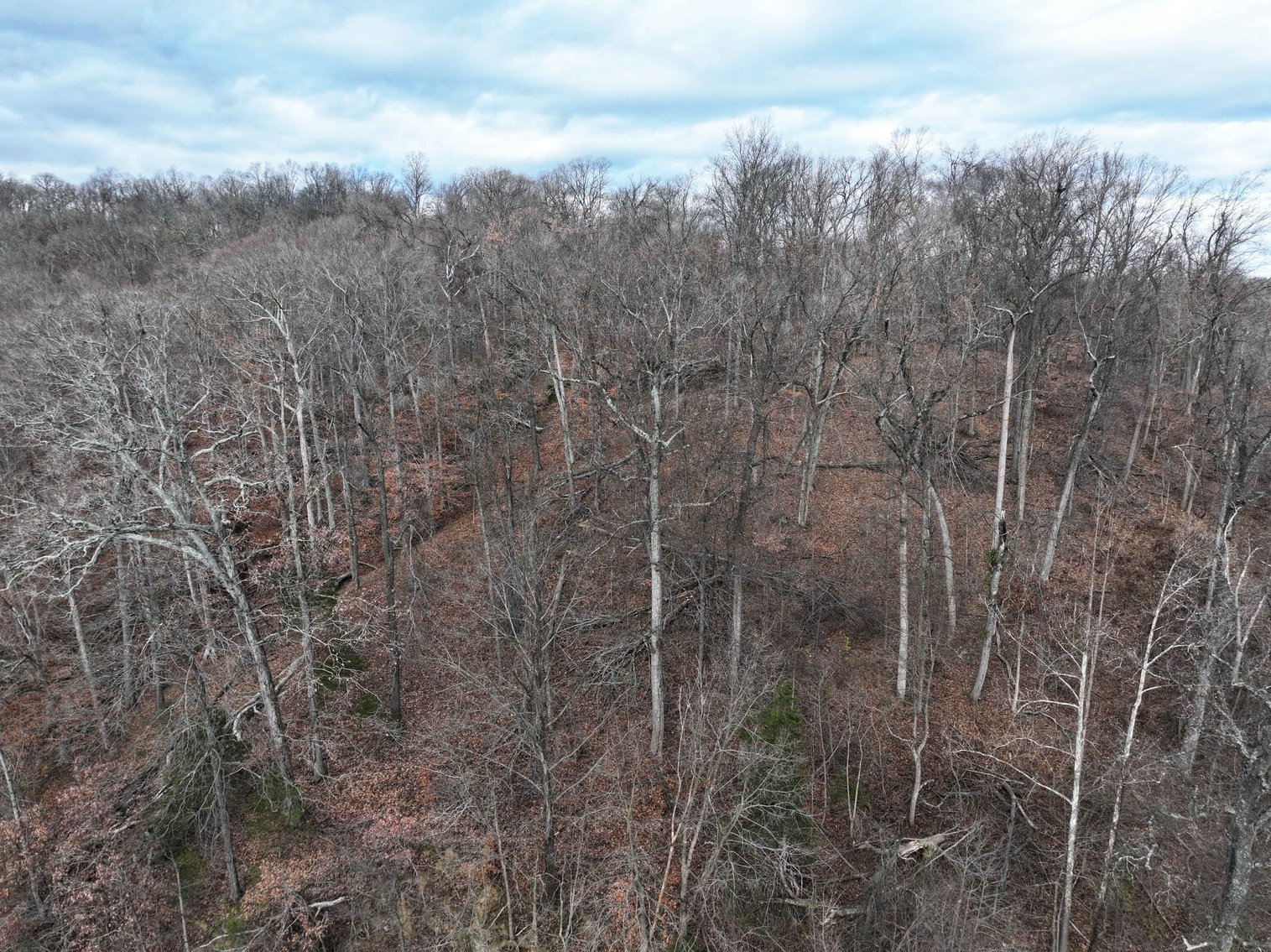 Image for 350 Ac m/l, Off PCR 210, Perryville MO 63775, MLS # 25082913