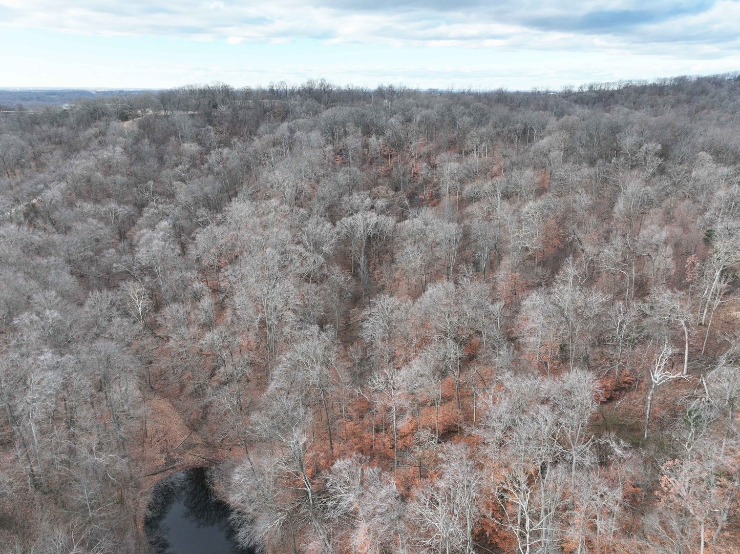 Image for 350 Ac m/l, Off PCR 210, Perryville MO 63775, MLS # 25082913