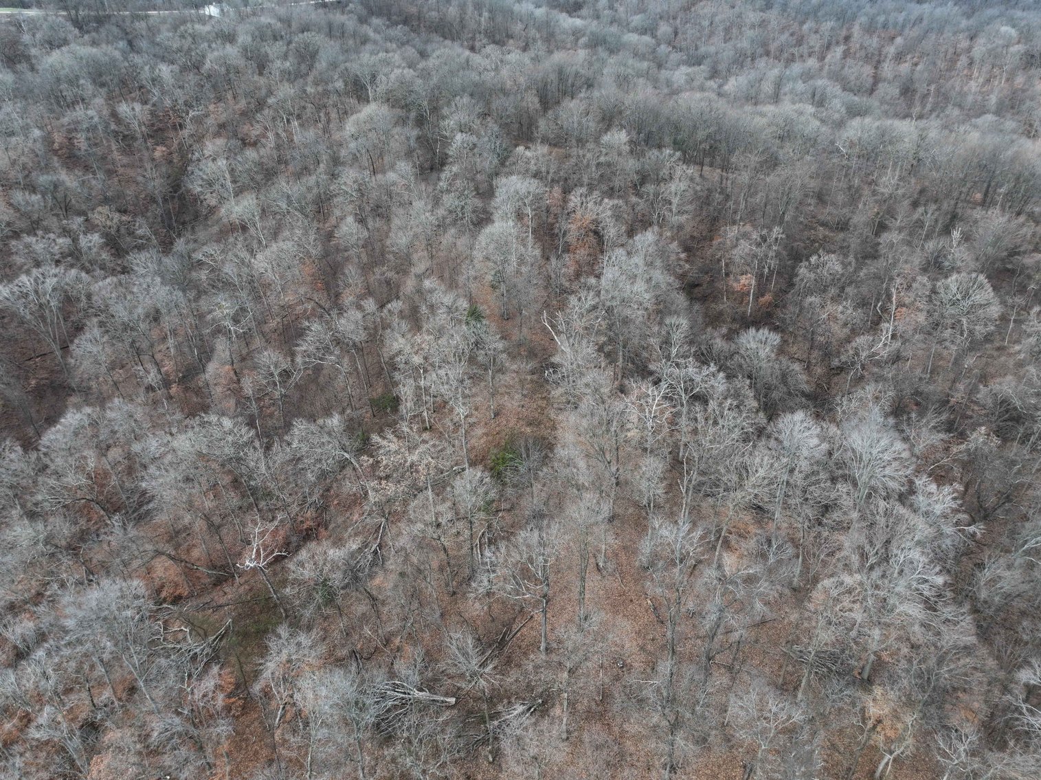 Image for 350 Ac m/l, Off PCR 210, Perryville MO 63775, MLS # 25082913