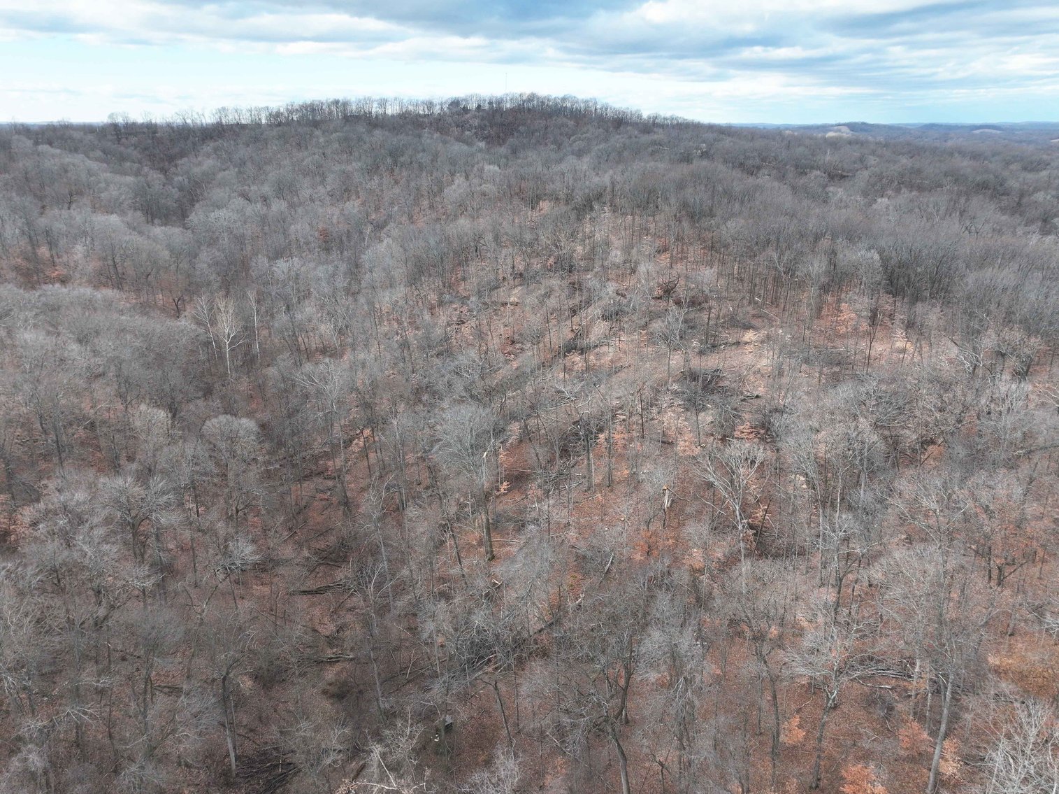 Image for 350 Ac m/l, Off PCR 210, Perryville MO 63775, MLS # 25082913