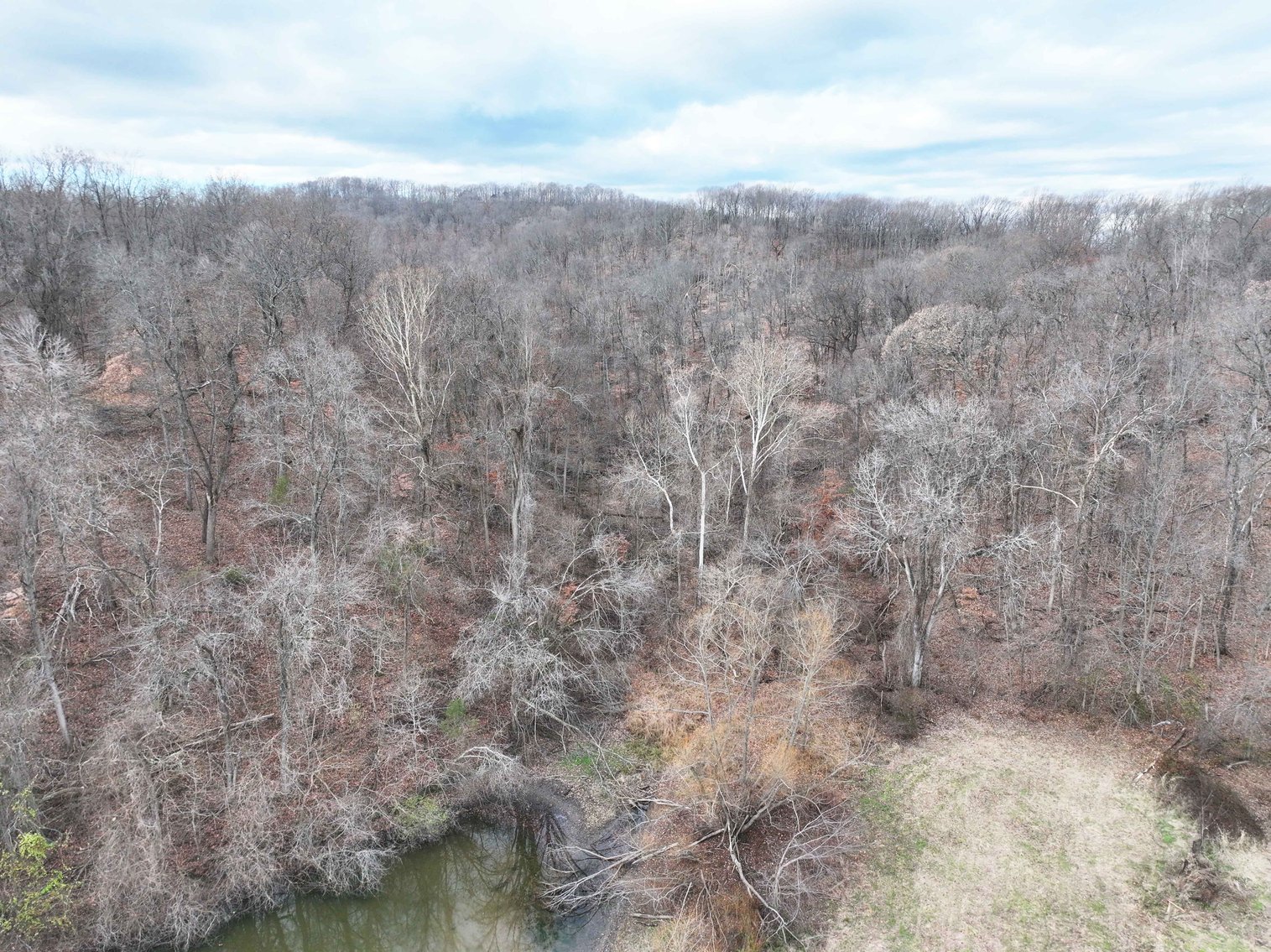 Image for 350 Ac m/l, Off PCR 210, Perryville MO 63775, MLS # 25082913