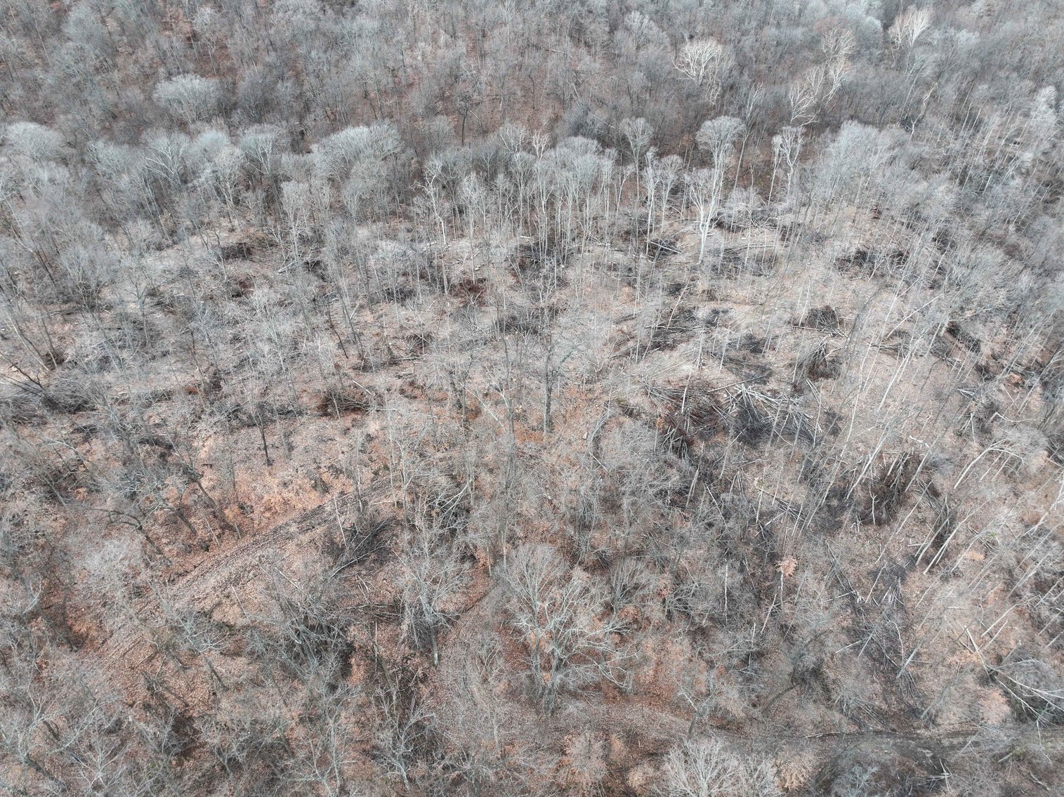 Image for 350 Ac m/l, Off PCR 210, Perryville MO 63775, MLS # 25082913