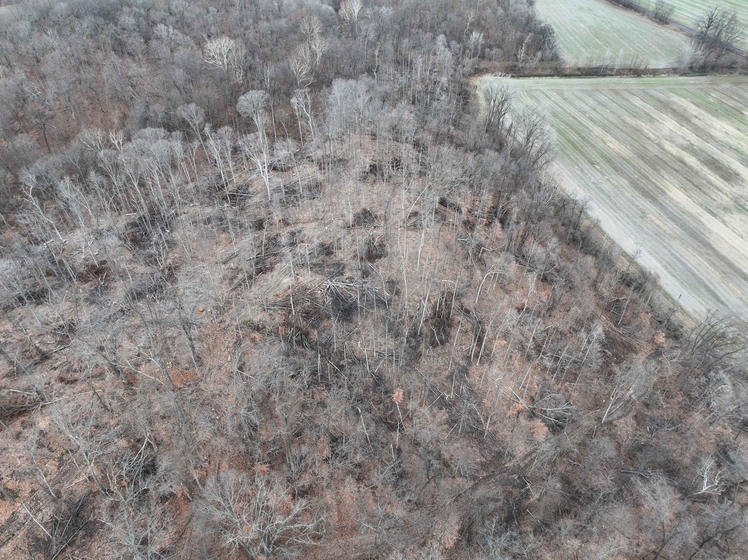 Image for 350 Ac m/l, Off PCR 210, Perryville MO 63775, MLS # 25082913