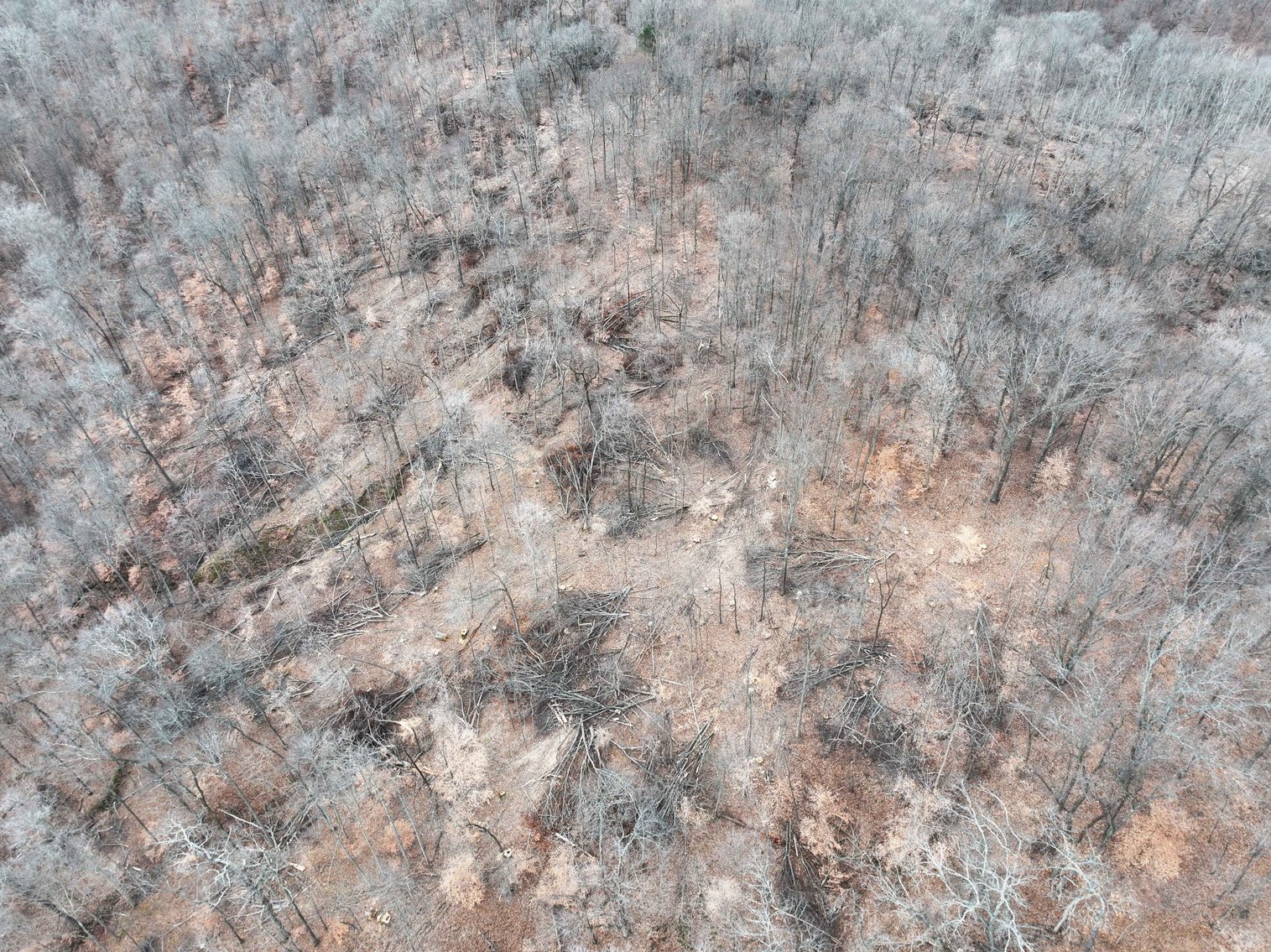 Image for 350 Ac m/l, Off PCR 210, Perryville MO 63775, MLS # 25082913