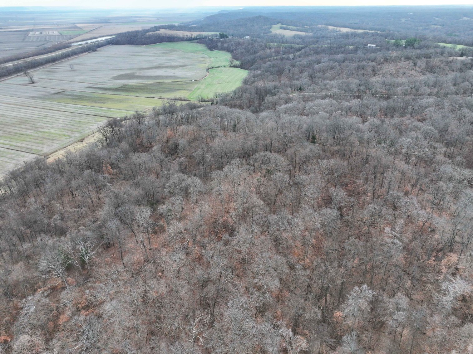 Image for 350 Ac m/l, Off PCR 210, Perryville MO 63775, MLS # 25082913