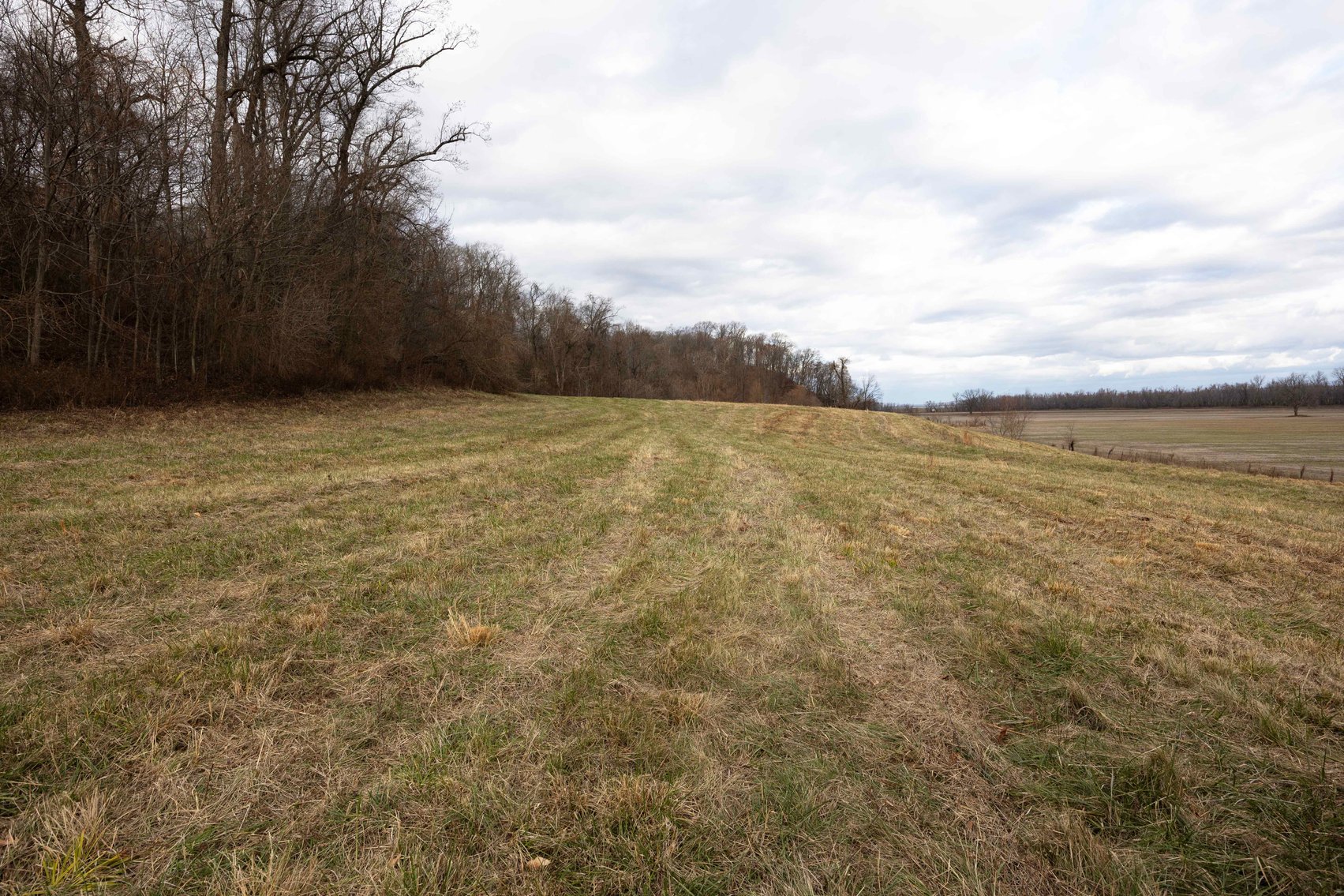 Image for 350 Ac m/l, Off PCR 210, Perryville MO 63775, MLS # 25082913