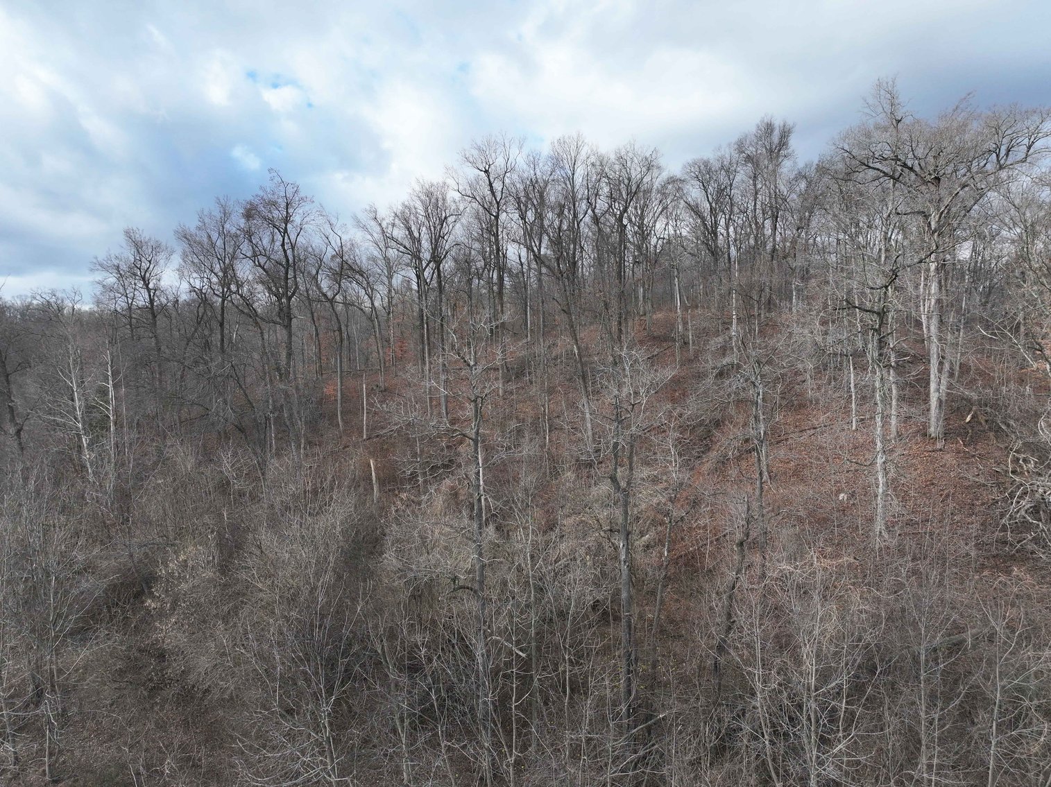 Image for 350 Ac m/l, Off PCR 210, Perryville MO 63775, MLS # 25082913