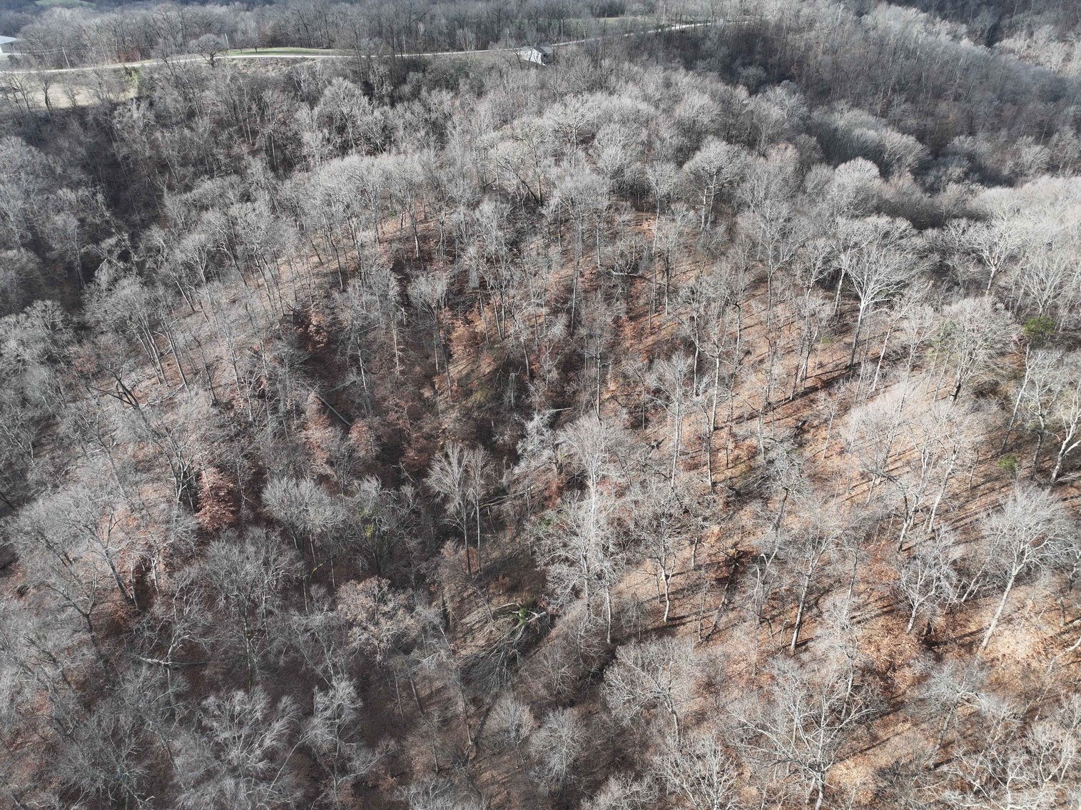 Image for 350 Ac m/l, Off PCR 210, Perryville MO 63775, MLS # 25082913