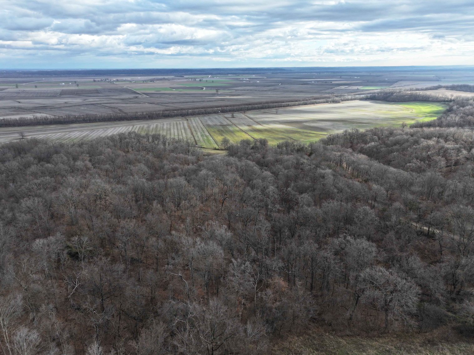 Image for 350 Ac m/l, Off PCR 210, Perryville MO 63775, MLS # 25082913
