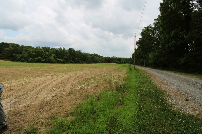 Image for 21.07 Ac m/l Tract 3 Off County Road 259 Advance, MO 63730, MLS # 26000255