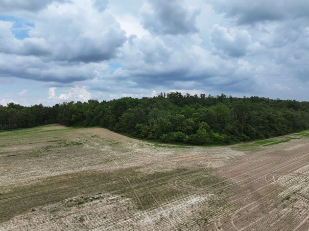 Image for 21.07 Ac m/l Tract 3 Off County Road 259 Advance, MO 63730, MLS # 26000255