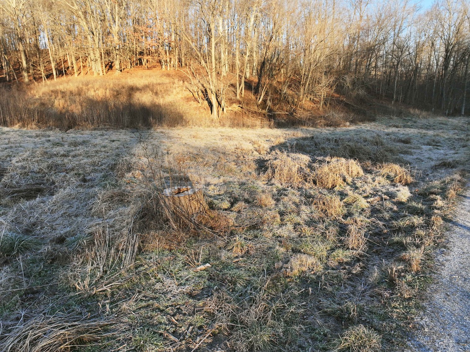 Image for 16.4 +/- Acres, Off County Road 535, Jackson MO 63755, MLS # 26003293