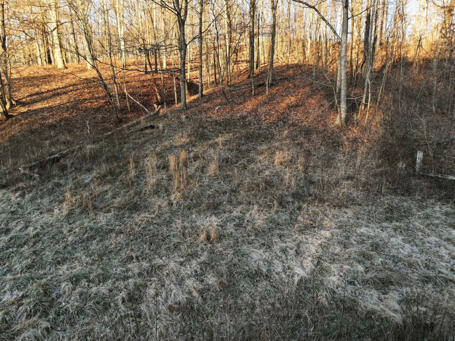 Image for 16.4 +/- Acres, Off County Road 535, Jackson MO 63755, MLS # 26003293