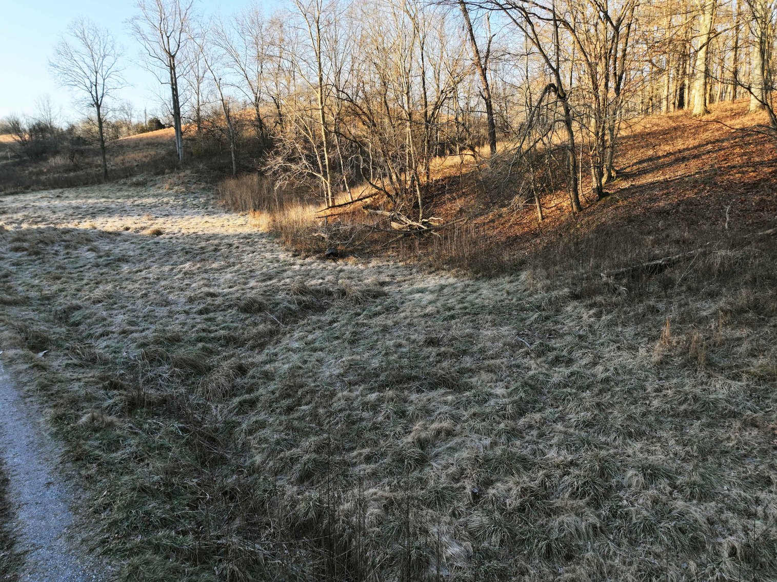 Image for 16.4 +/- Acres, Off County Road 535, Jackson MO 63755, MLS # 26003293