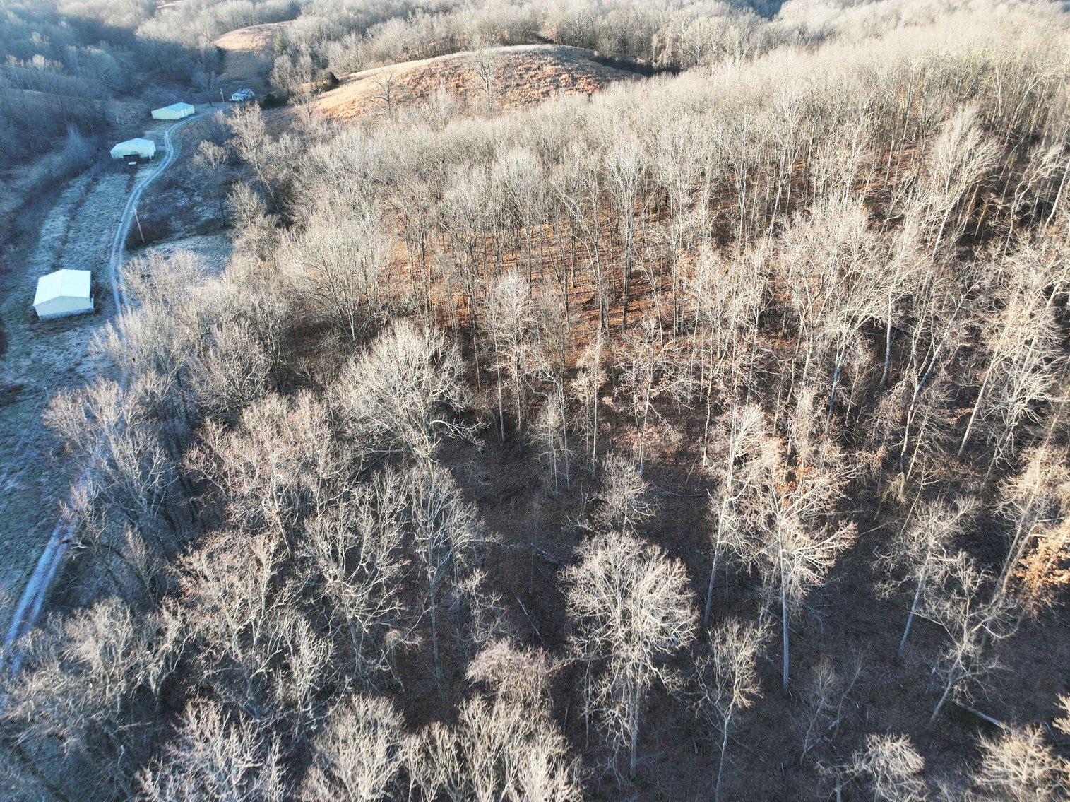 Image for 16.4 +/- Acres, Off County Road 535, Jackson MO 63755, MLS # 26003293