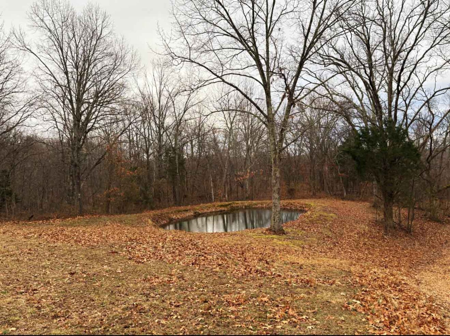 Image for 20 +/- Acres, 701 Catalpa Lane, Jackson MO 63755, MLS # 26005265