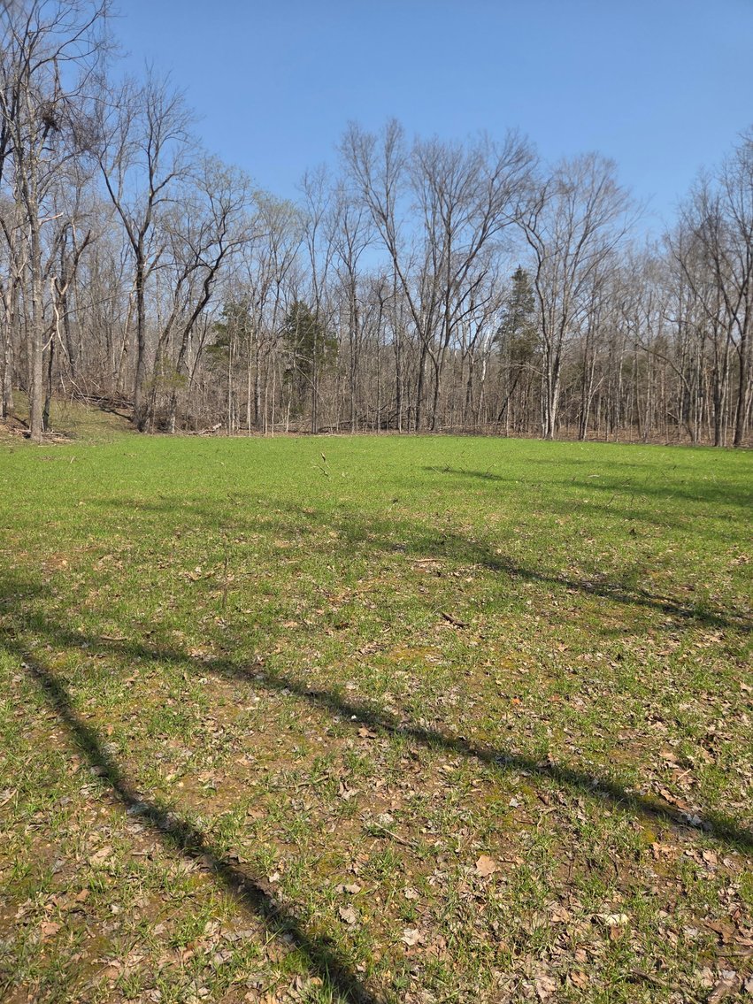 Image for 25.5 Acres +/-, Tract 1 Off BCR 930, Patton Missouri 63662, MLS #25075217