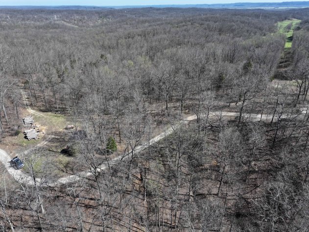Image for 26.22 Ac +/-, Tract 2, Catalpa Ln, Jackson MO 63755, MLS 26018183