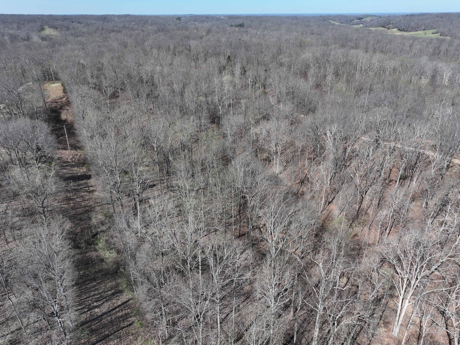 Image for 26.22 Ac +/-, Tract 2, Catalpa Ln, Jackson MO 63755, MLS 26018183