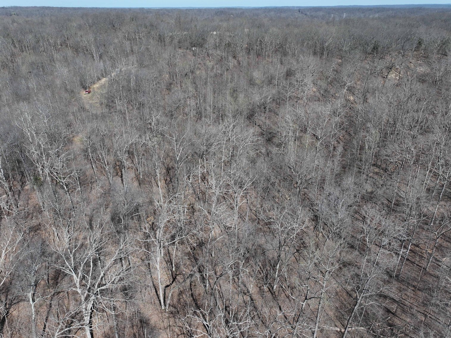 Image for 26.22 Ac +/-, Tract 2, Catalpa Ln, Jackson MO 63755, MLS 26018183