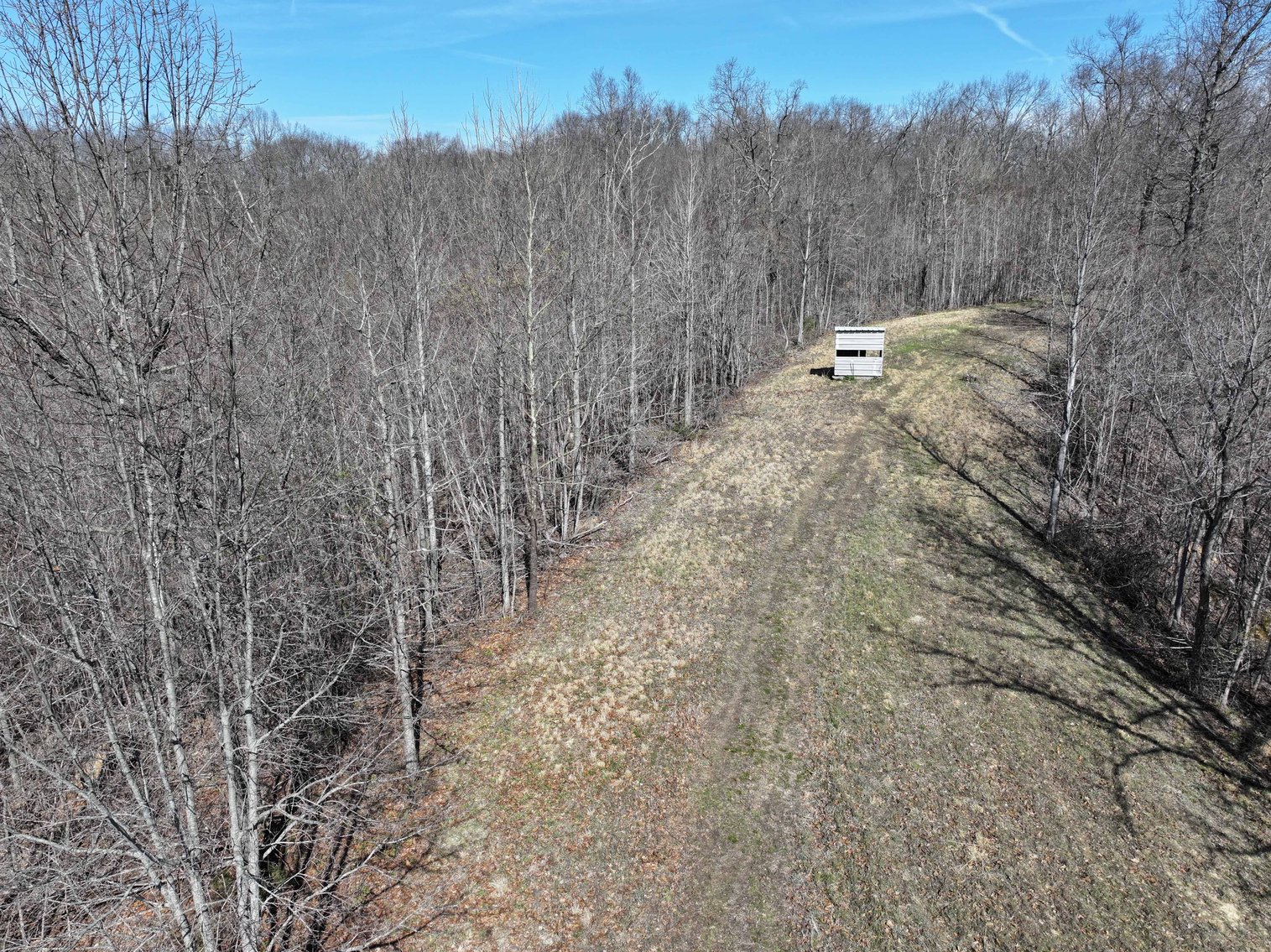 Image for 26.22 Ac +/-, Tract 2, Catalpa Ln, Jackson MO 63755, MLS 26018183