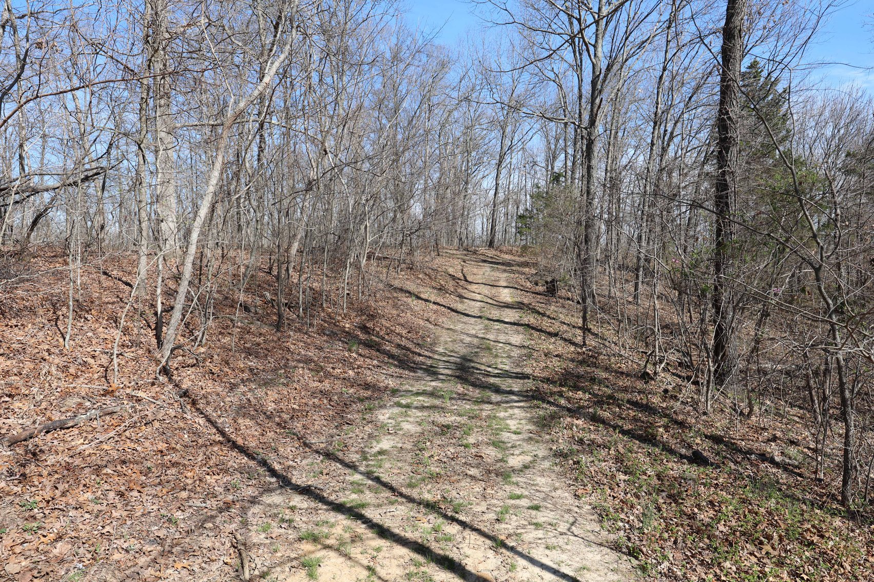 Image for 26.22 Ac +/-, Tract 2, Catalpa Ln, Jackson MO 63755, MLS 26018183