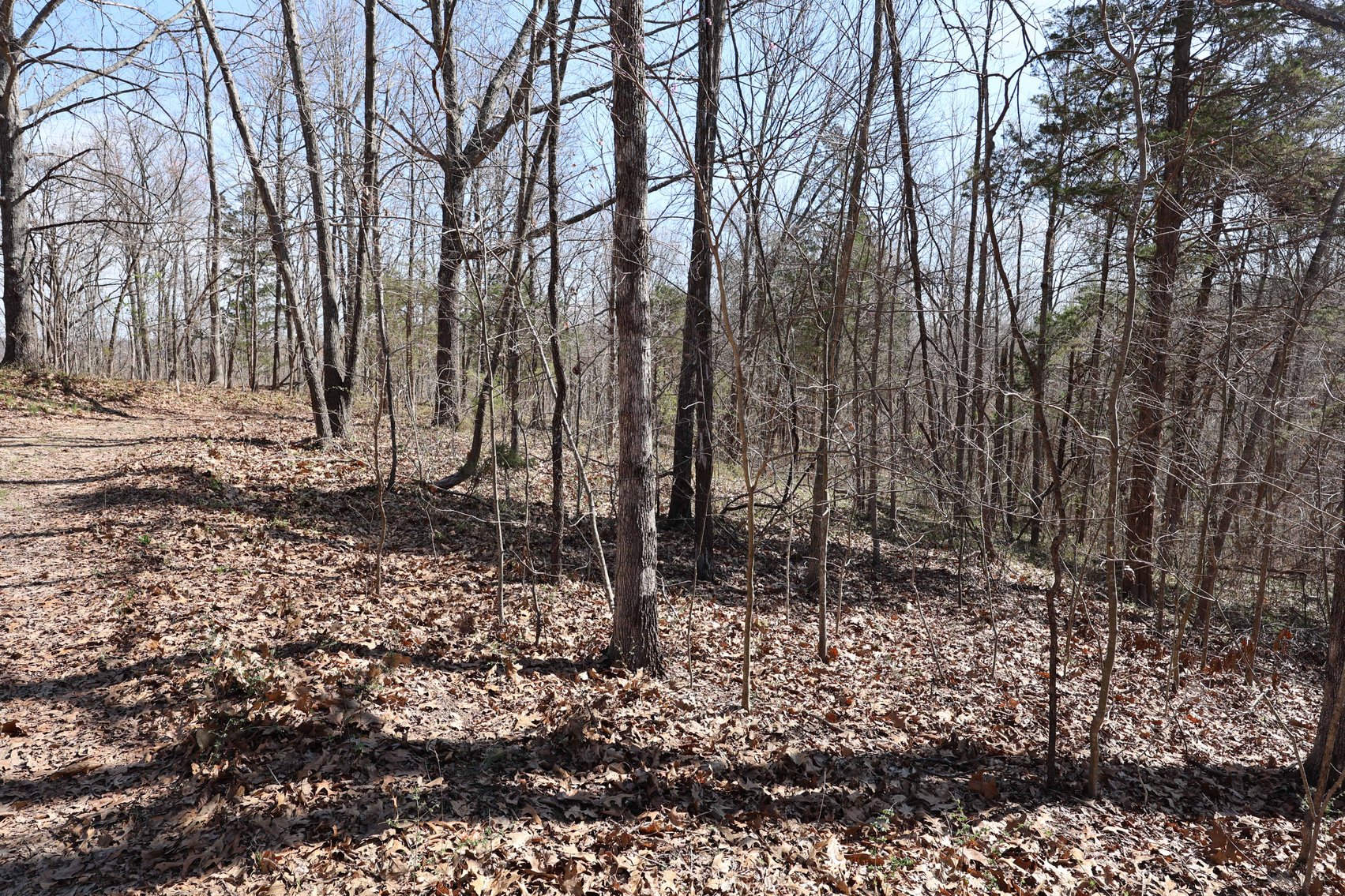 Image for 26.22 Ac +/-, Tract 2, Catalpa Ln, Jackson MO 63755, MLS 26018183