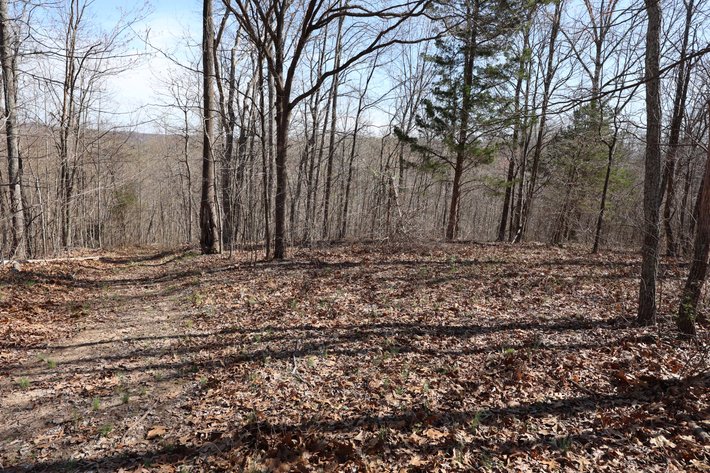 Image for 23.43 Ac +/-, Tract 3, Catalpa Ln, Jackson MO 63755, MLS 26018186