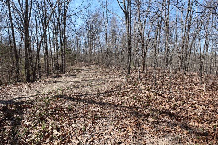 Image for 23.43 Ac +/-, Tract 3, Catalpa Ln, Jackson MO 63755, MLS 26018186