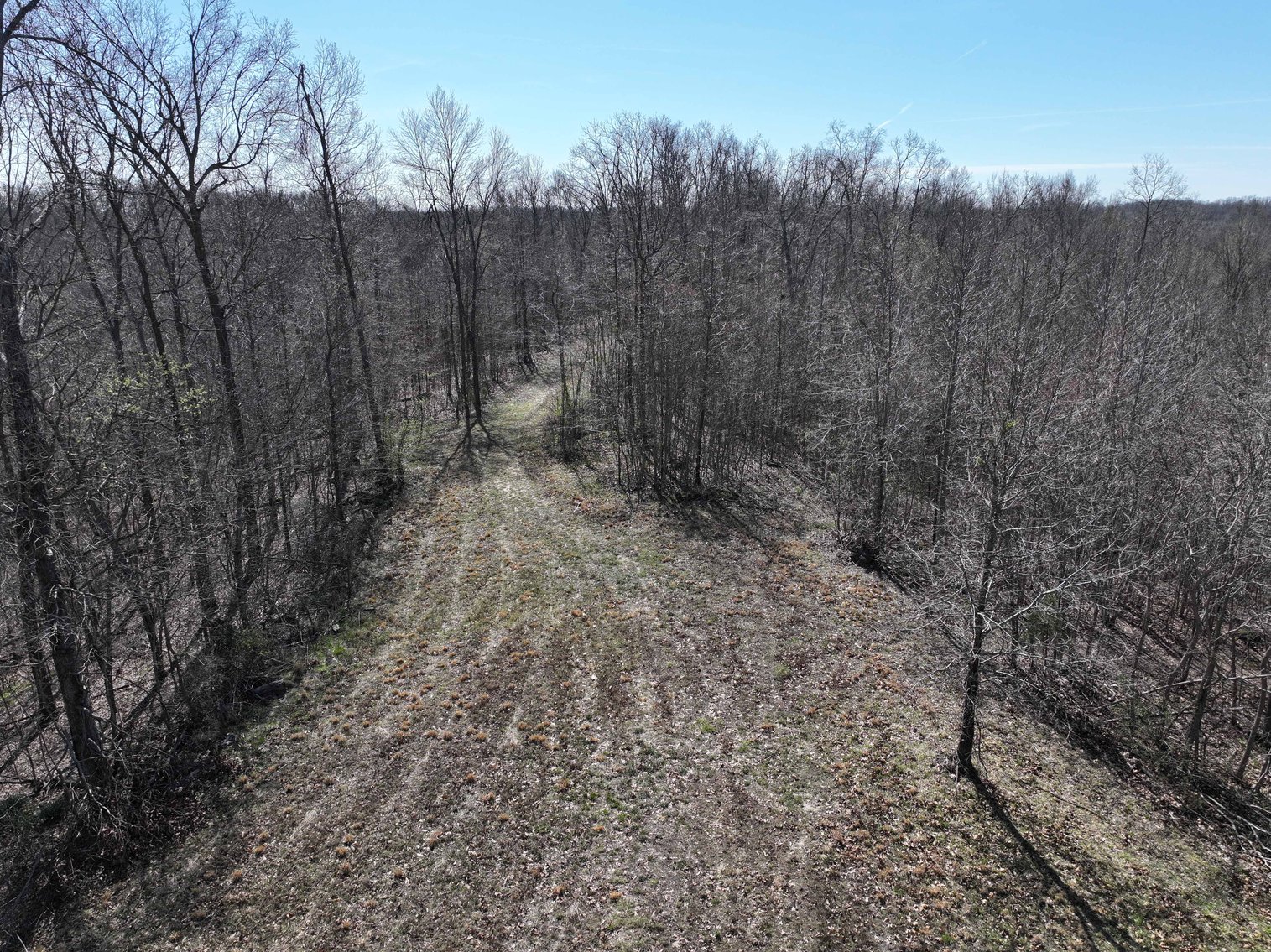 Image for 23.43 Ac +/-, Tract 3, Catalpa Ln, Jackson MO 63755, MLS 26018186